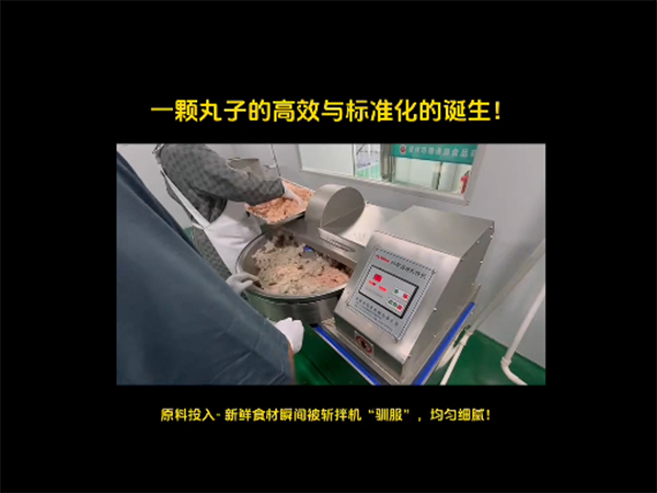 丸子机视频